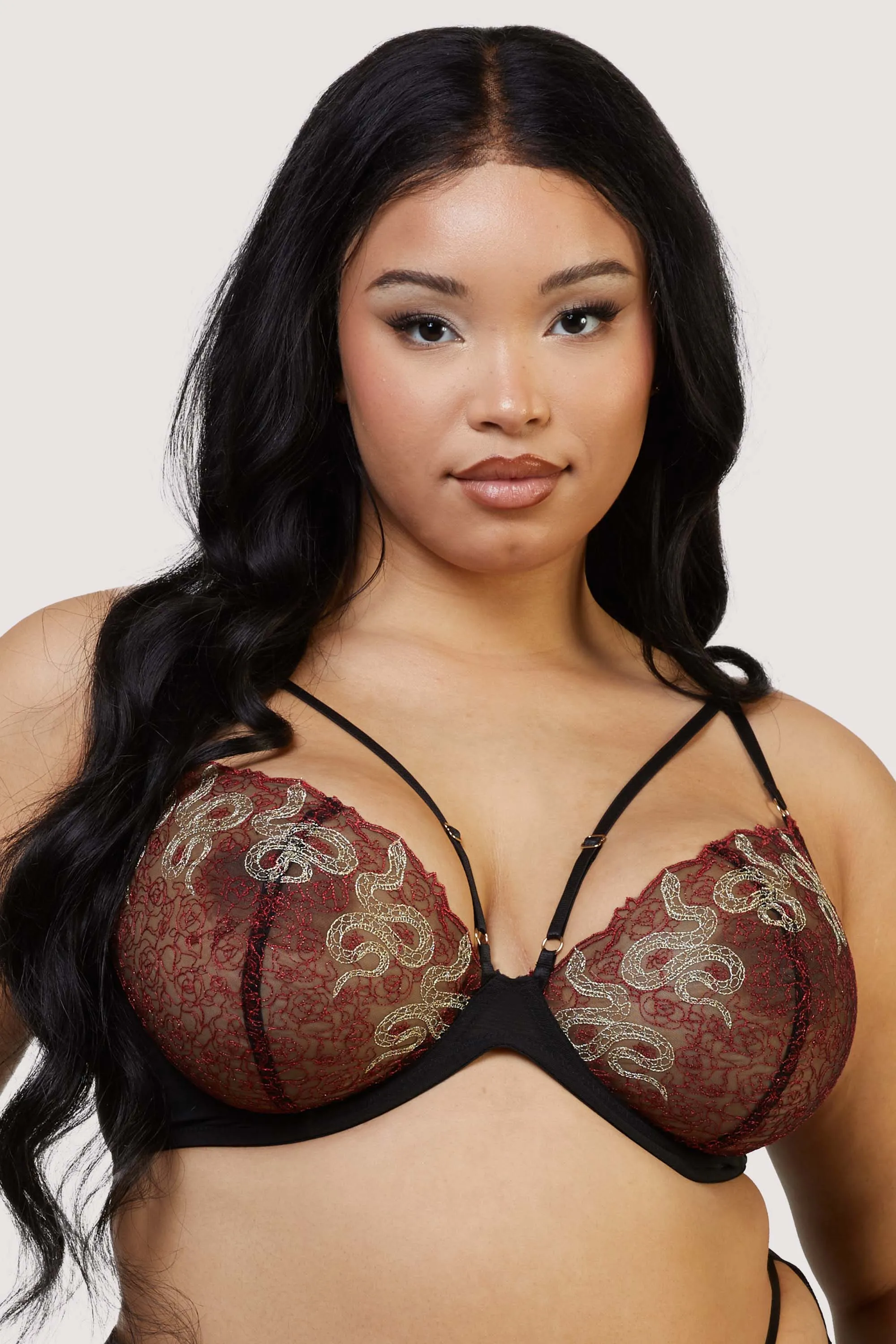 Dakota Red Snake Embroidered Balconette Bra