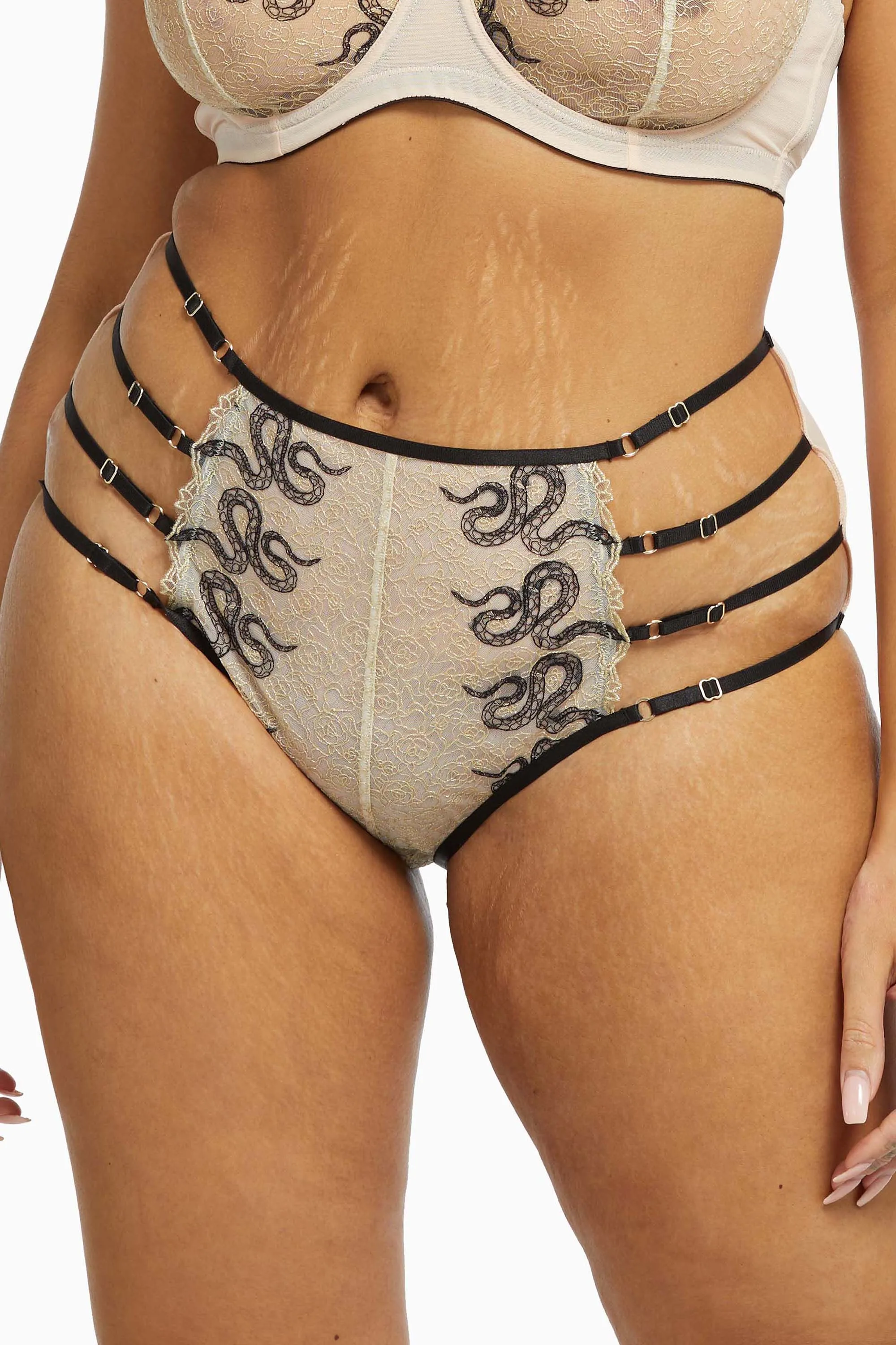 Dakota Snake High Waist Brief