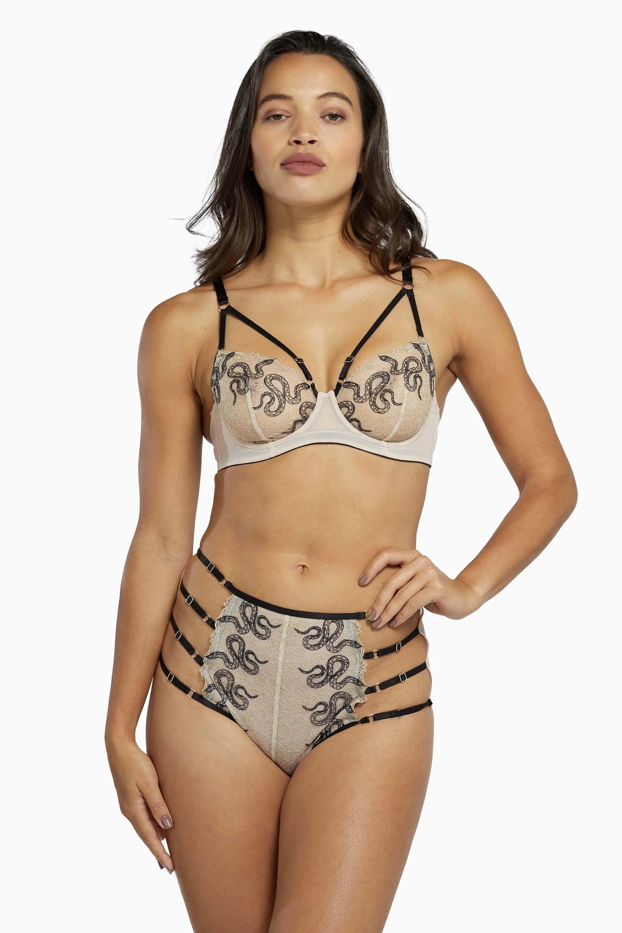 Dakota Snake High Waist Brief