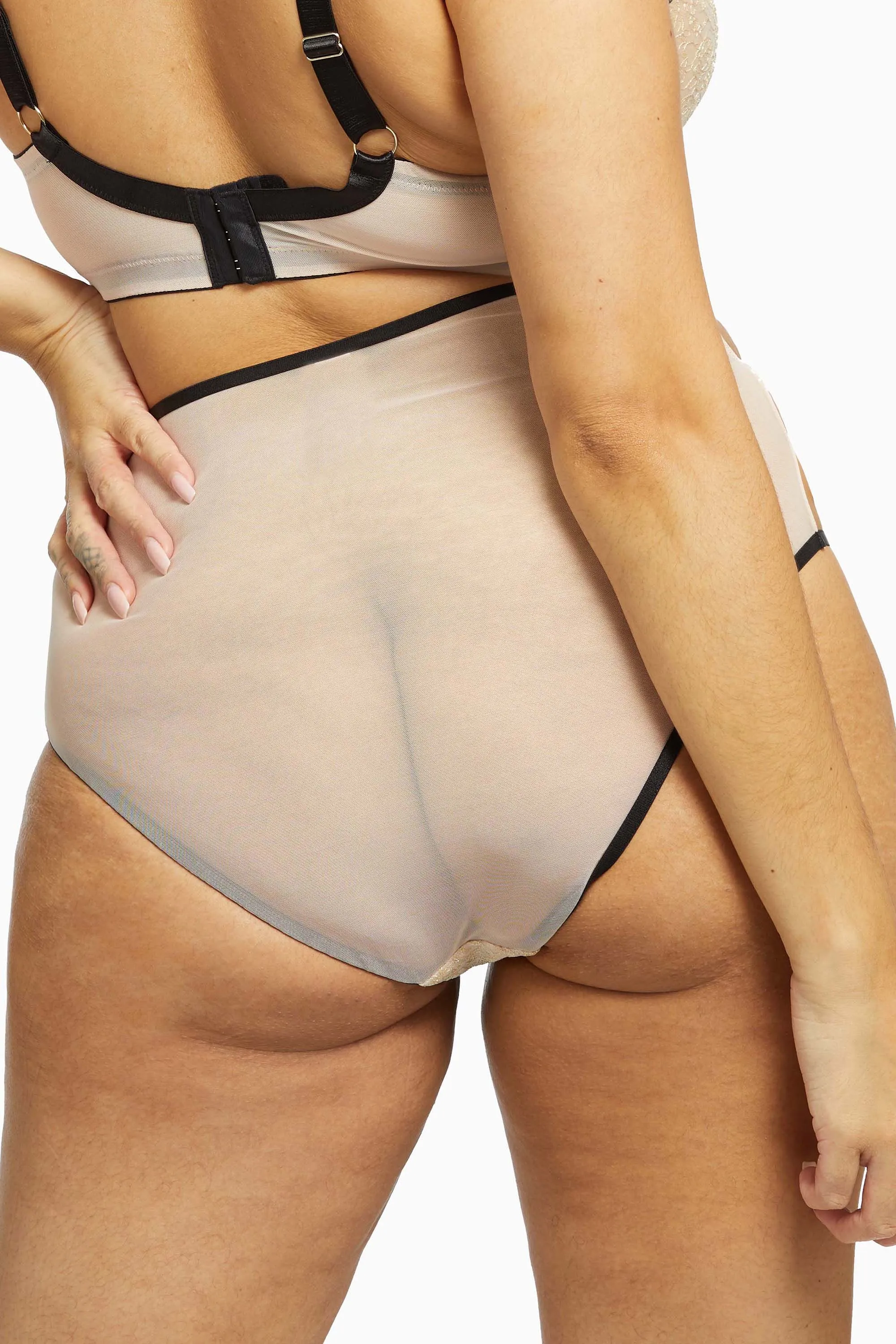 Dakota Snake High Waist Brief