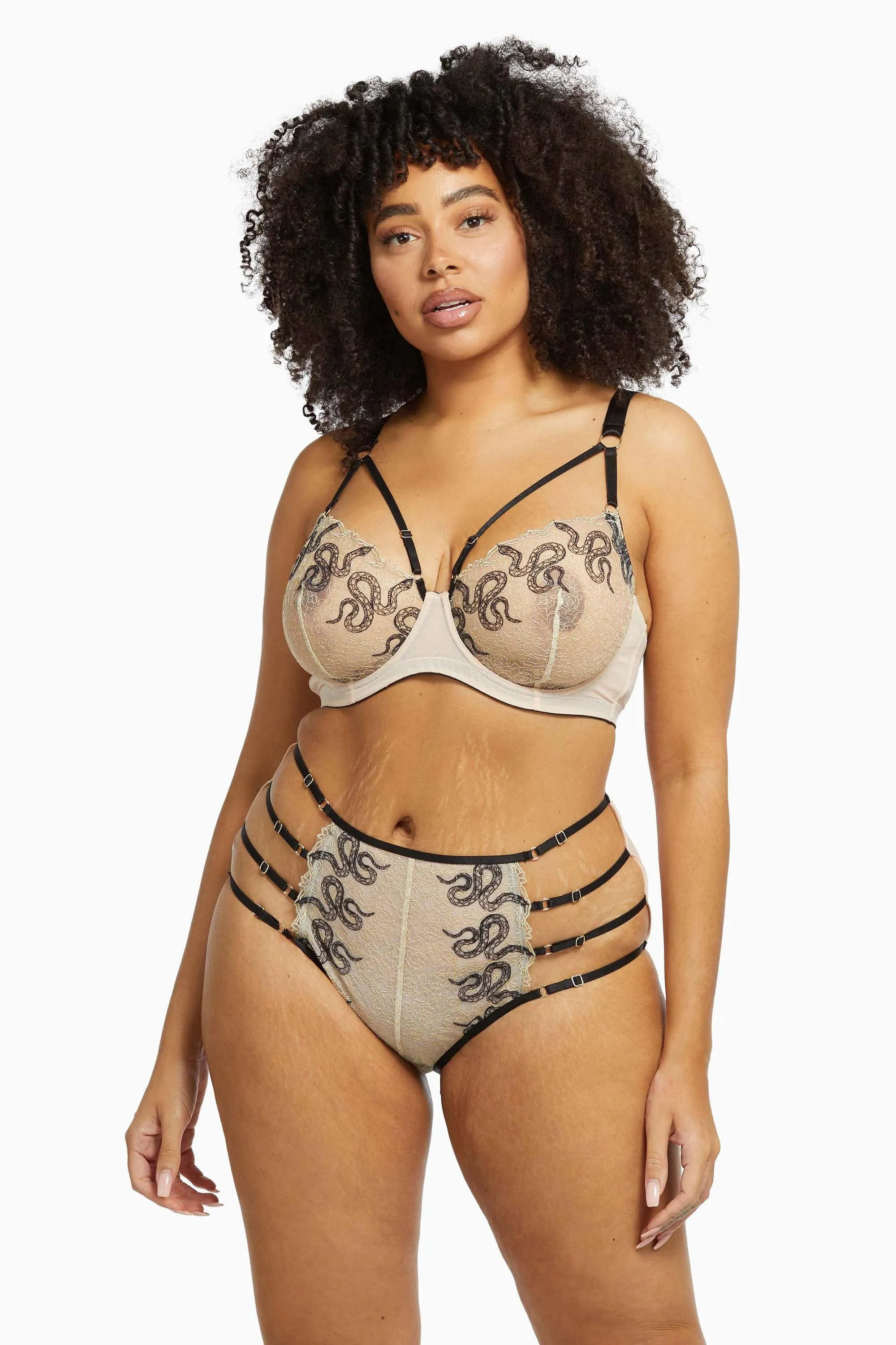 Dakota Snake High Waist Brief