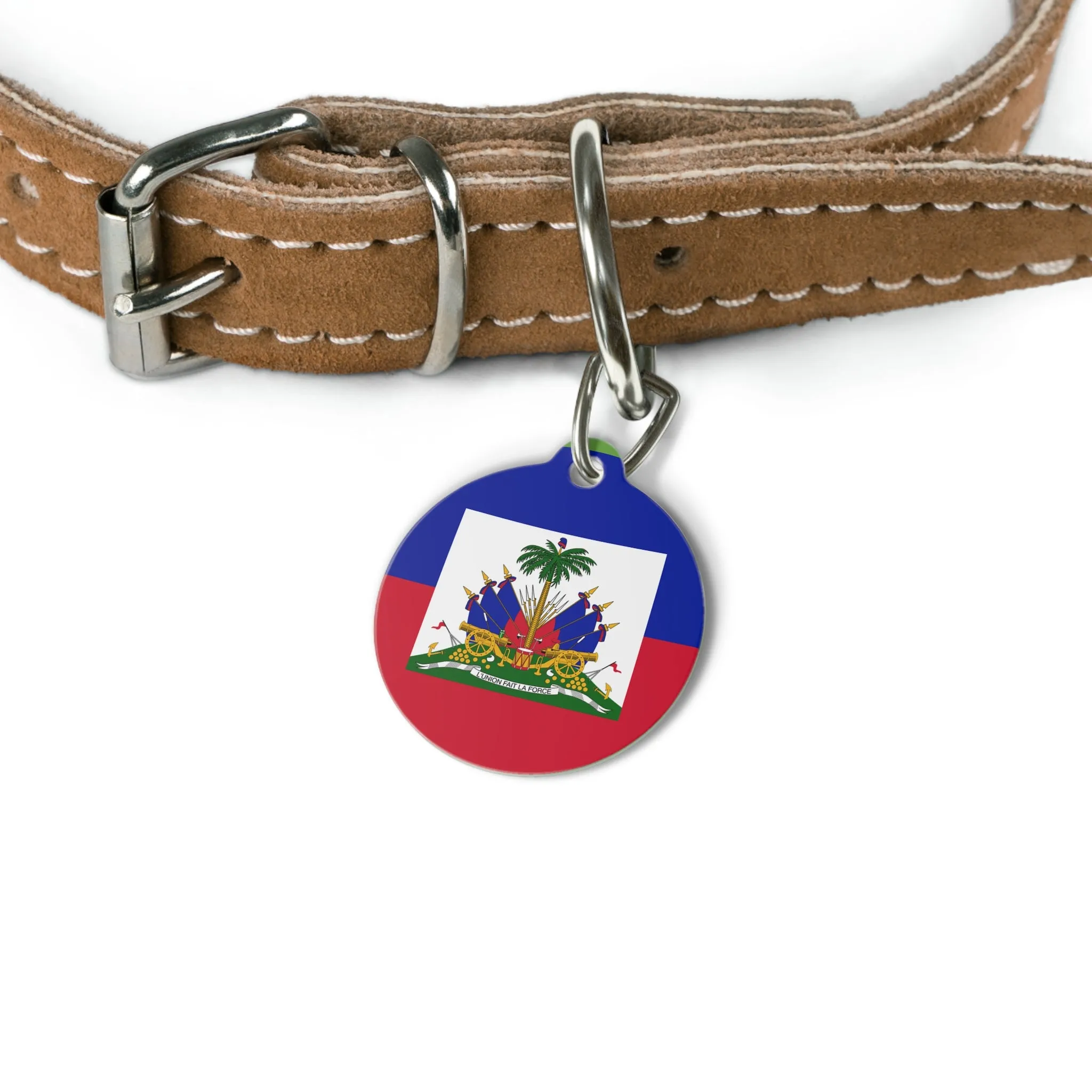 Personalized Pet Tag - Scooby-Doo & Haitian Flag Design